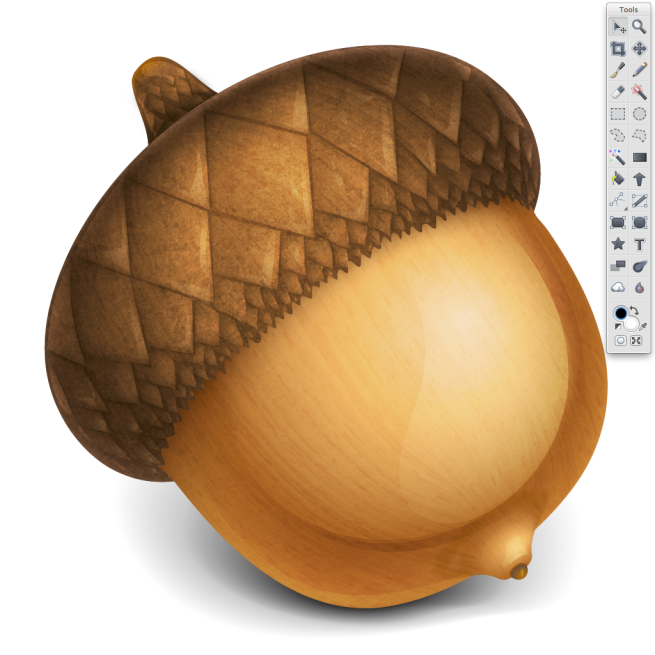 Acorn