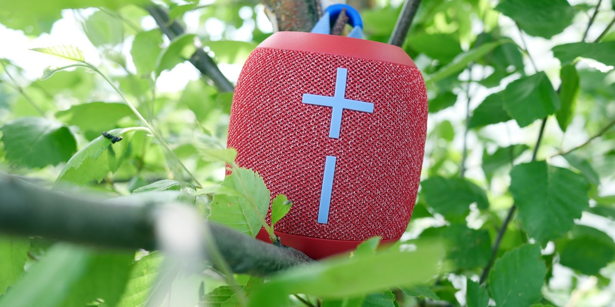 WONDERBOOM 2 in tree