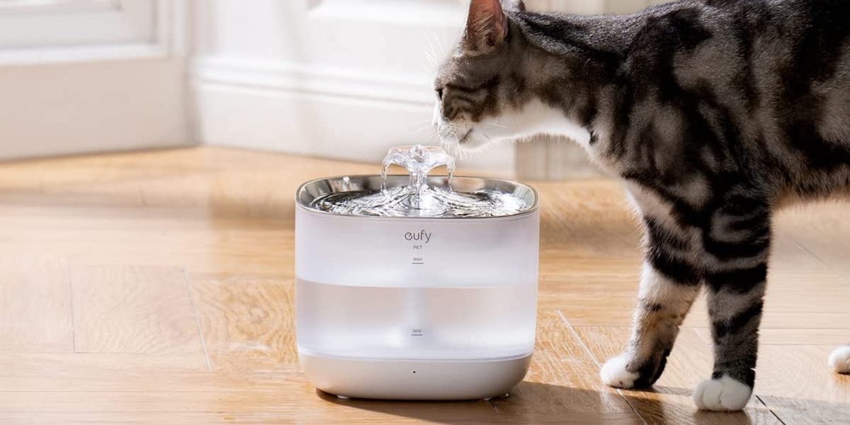 Anker Eufy Pet Water Fountain