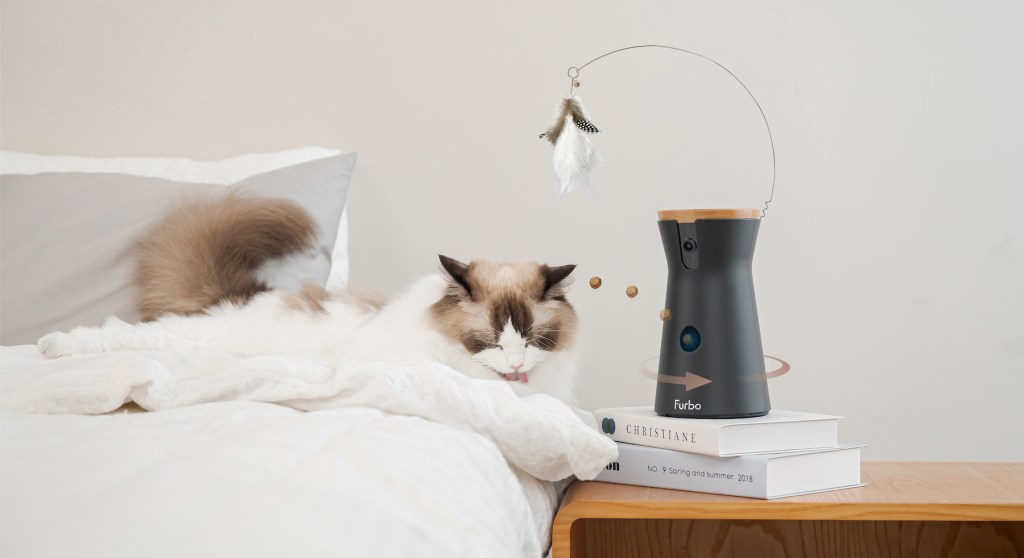 a cat sitting on top of a bed