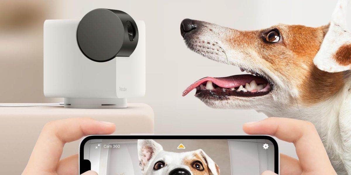 Petcube Cam 360