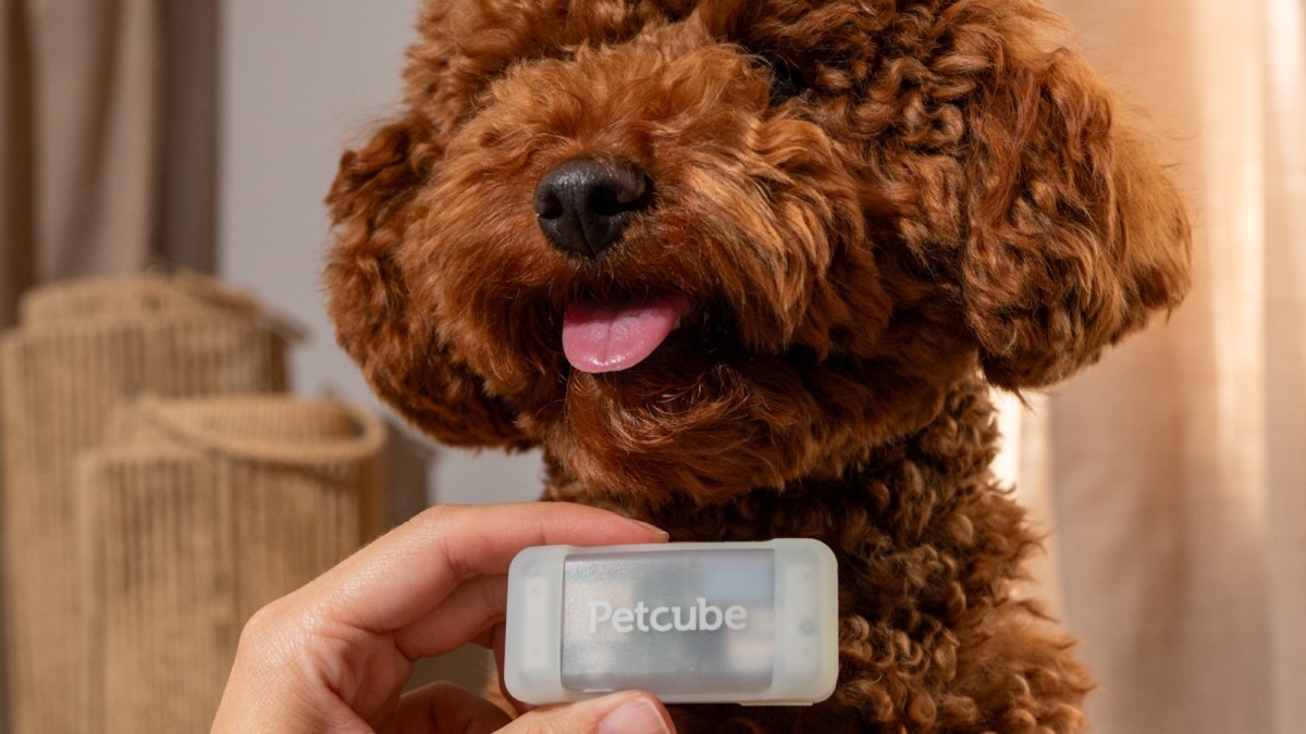 Petcube-pet GPS Tracker