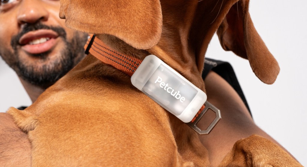 pet GPS Tracker